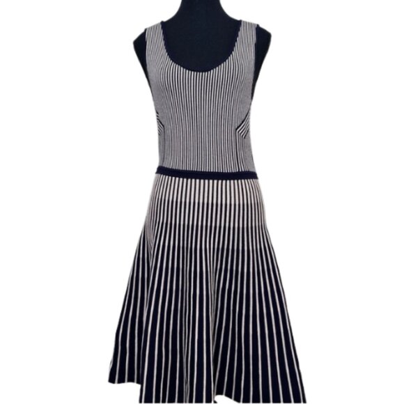 Banana Republic Dresses & Skirts - Banana Republic Womens Small Stripe Navy Sweater Flare Dress CN